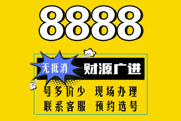 巨野尾号888吉祥号