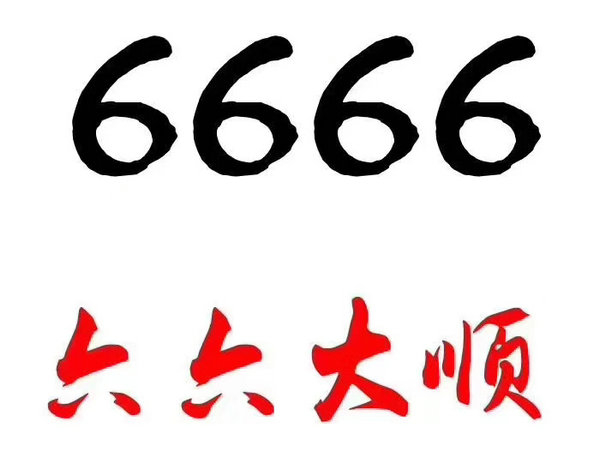 定陶尾号666吉祥号