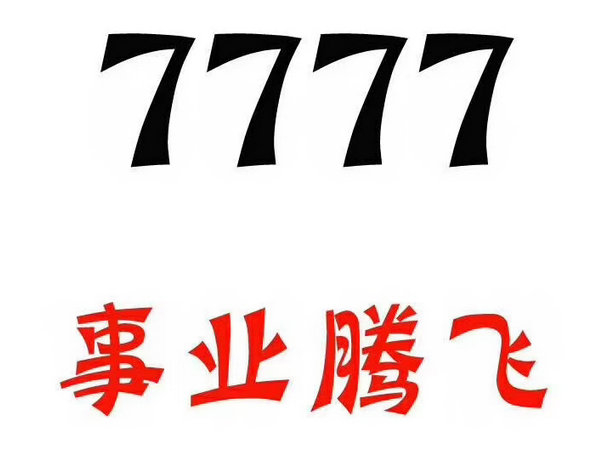 定陶777吉祥号