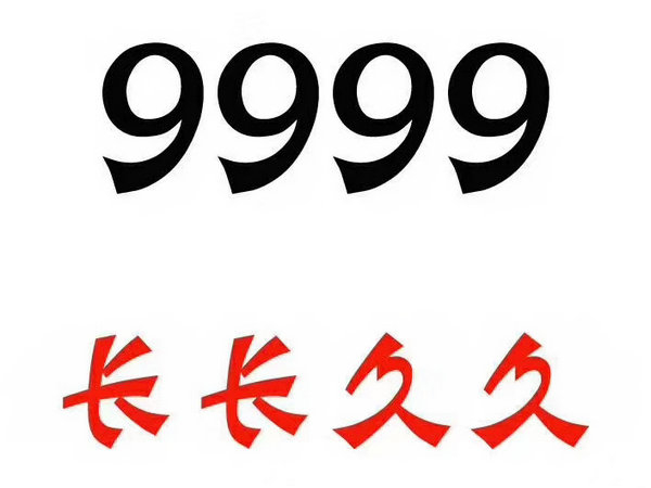 定陶尾号999吉祥号