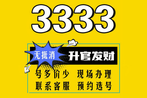 成武尾号3333手机靓号